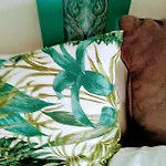 Turquesa De Appartement